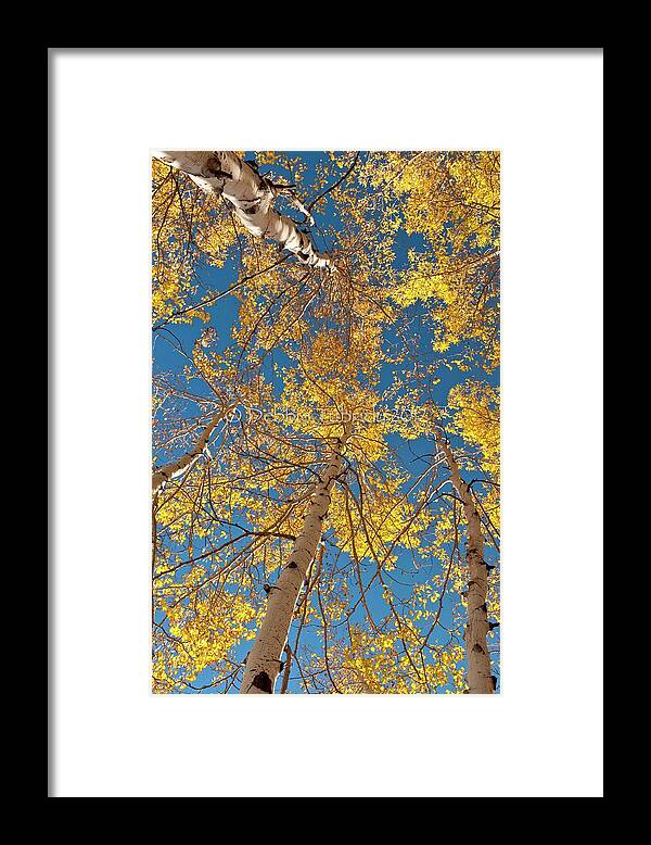 Tranquility Framed Print featuring the photograph Seasons Change by Tnwa Photography