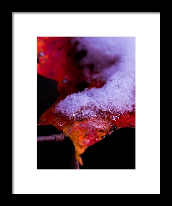 2013 Framed Print featuring the photograph Seasons by Haren Images- Kriss Haren