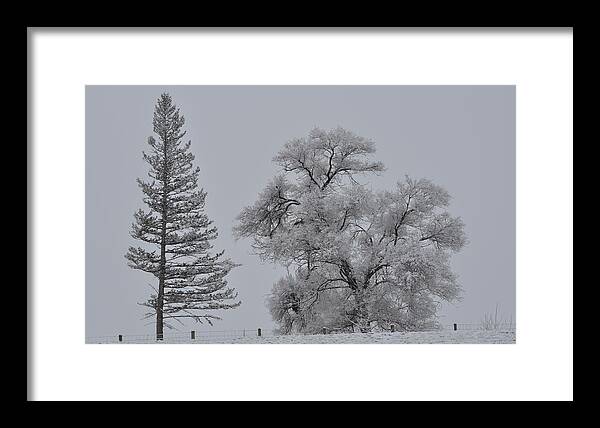 Landscape Framed Print featuring the photograph Seasons in the Snow by Mike Helland