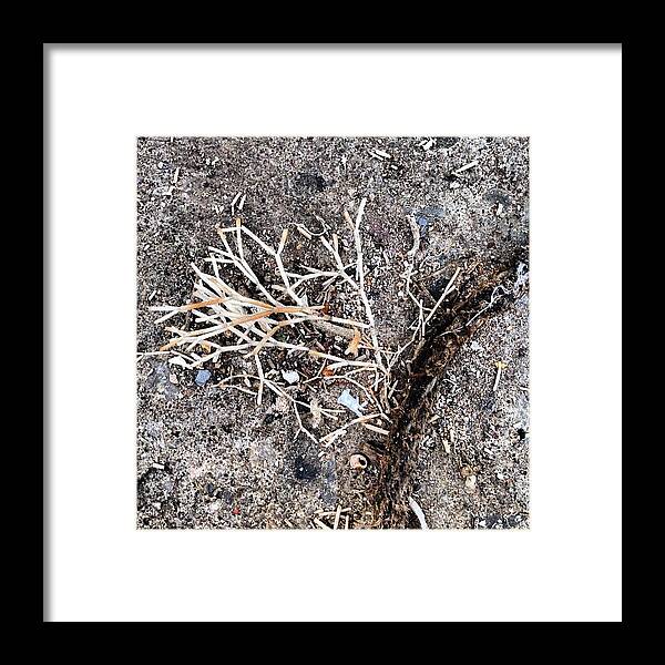 Icnature Framed Print featuring the photograph Seaweed Circle #nicsquirrell #icnature by Nic Squirrell