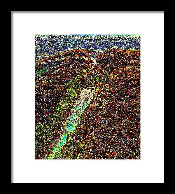 Coast Framed Print featuring the photograph Seaweed Two by Stanley Funk