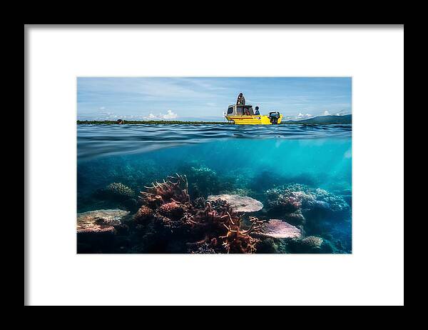 Coral Framed Print featuring the photograph Second Dive by Pavol Stranak