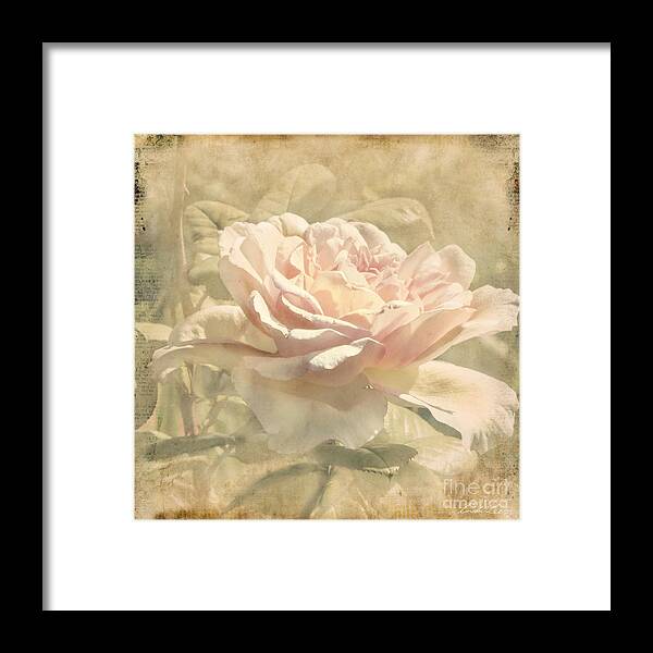 Rose Framed Print featuring the photograph Secondhand Rose by Linda Lees