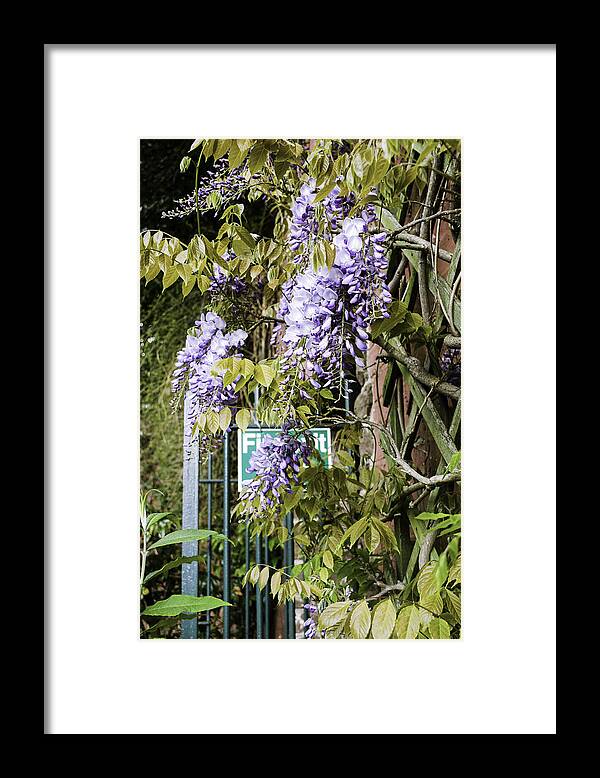 Gate Framed Print featuring the photograph Secret Garden by Spikey Mouse Photography