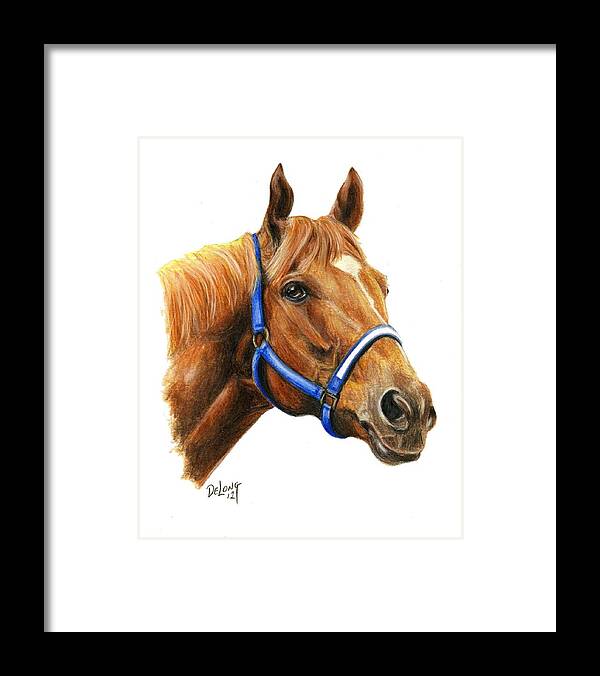 Secretariat Framed Print featuring the painting Secretariat with halter by Pat DeLong
