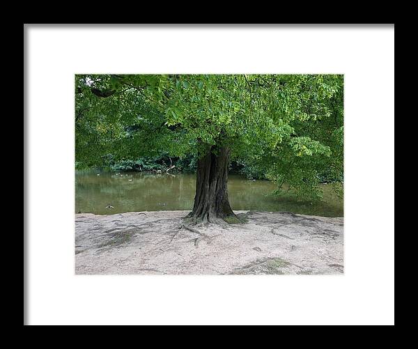 Landscape Framed Print featuring the photograph See how I grow... by Kate Gibson Oswald