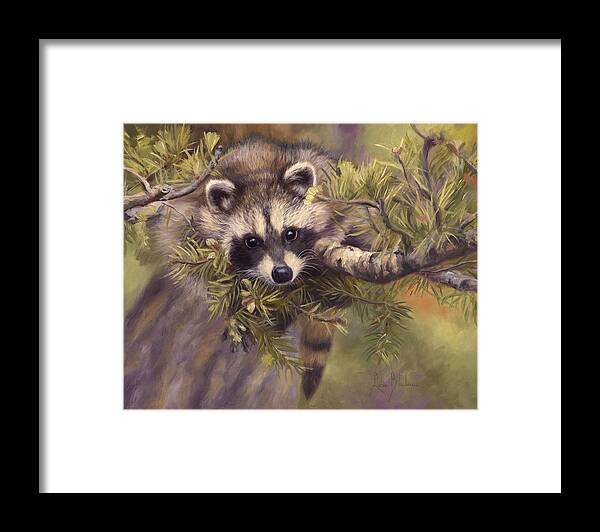 Raccoon Framed Print featuring the painting Seeking Mischief by Lucie Bilodeau