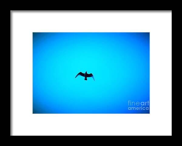  Framed Print featuring the photograph Segul by Brandon Finister