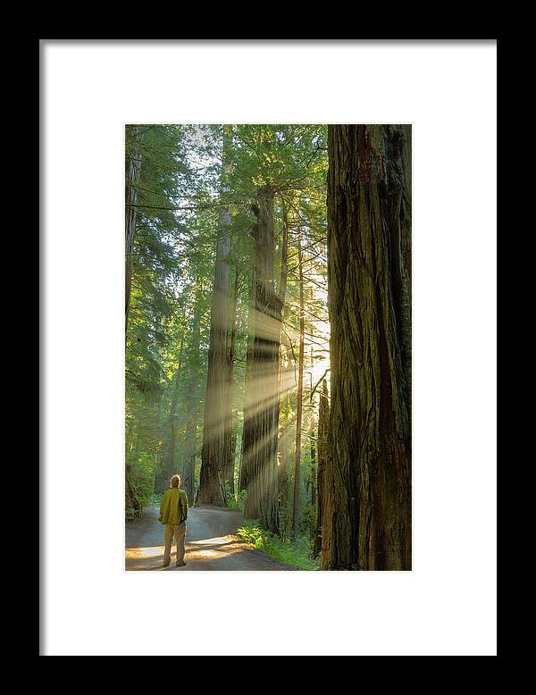 Awe Framed Print featuring the photograph Self Portrait In God Rays Among Giant by Chuck Haney
