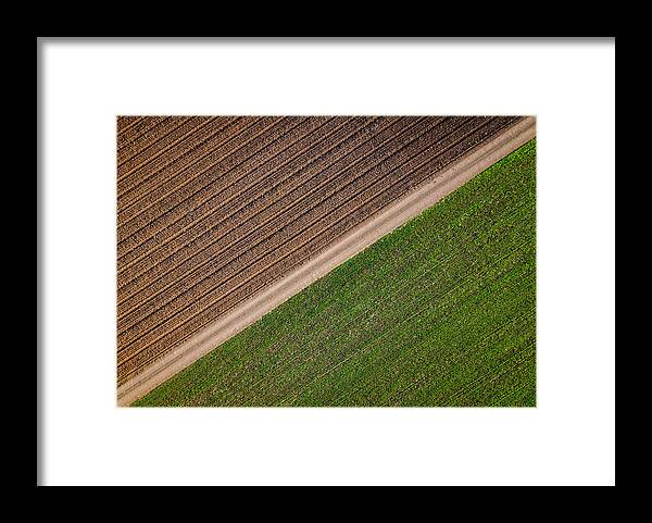 Fields Framed Print featuring the photograph Seperation by Simon Gelfand