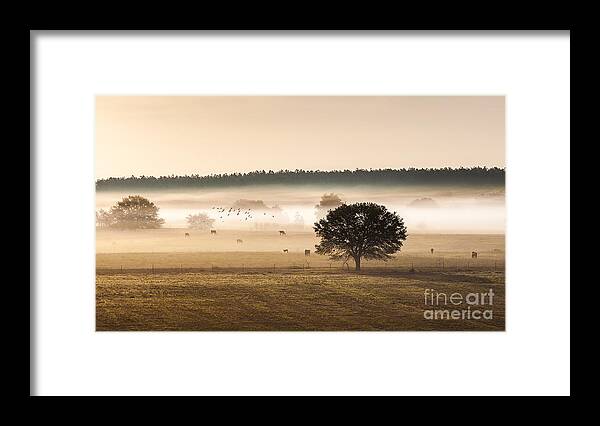 Animal Framed Print featuring the photograph Sepia Landscape from 500 feet by Jo Ann Tomaselli