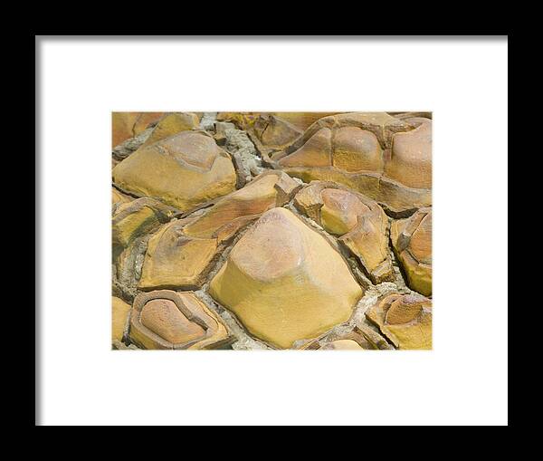 Photography Framed Print featuring the photograph Septarian Concretions With Calcite by Science Stock Photography/science Photo Library
