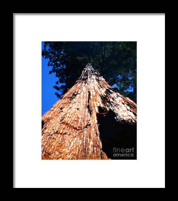 Sequoia Giant Yosemite Park Framed Print featuring the mixed media Sequoia Giant Yosemite Park by Glenn McNary