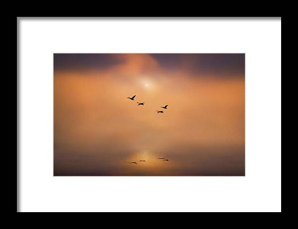 Curves Framed Print featuring the photograph Serene Tranquility by Adrian Campfield