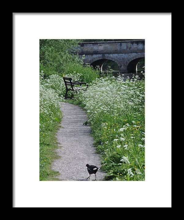 Path Framed Print featuring the photograph Serenity 2 by Teresa Tilley