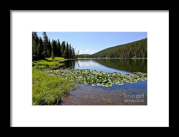 Lake Framed Print featuring the photograph Serenity in Yellowstone by Teresa Zieba