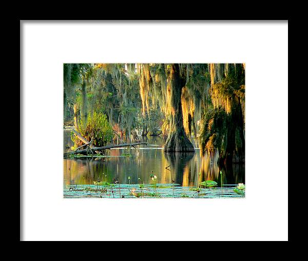 Lake Martin Framed Print featuring the photograph Serenity by Kimo Fernandez