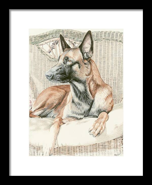 Dog Framed Print featuring the drawing Serenity by Rosellen Westerhoff