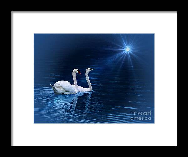 Serenity Framed Print featuring the photograph Serenity by Shirley Mangini