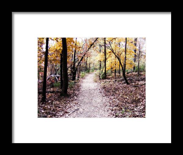 Trails Framed Print featuring the photograph Serenity Walk in the Woods by Peggy Franz