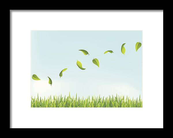 Curve Framed Print featuring the drawing Several leaves flying above the grass by Khalus