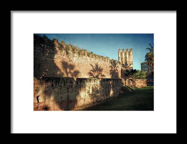 Joan Carroll Framed Print featuring the photograph Seville's Old Walls by Joan Carroll