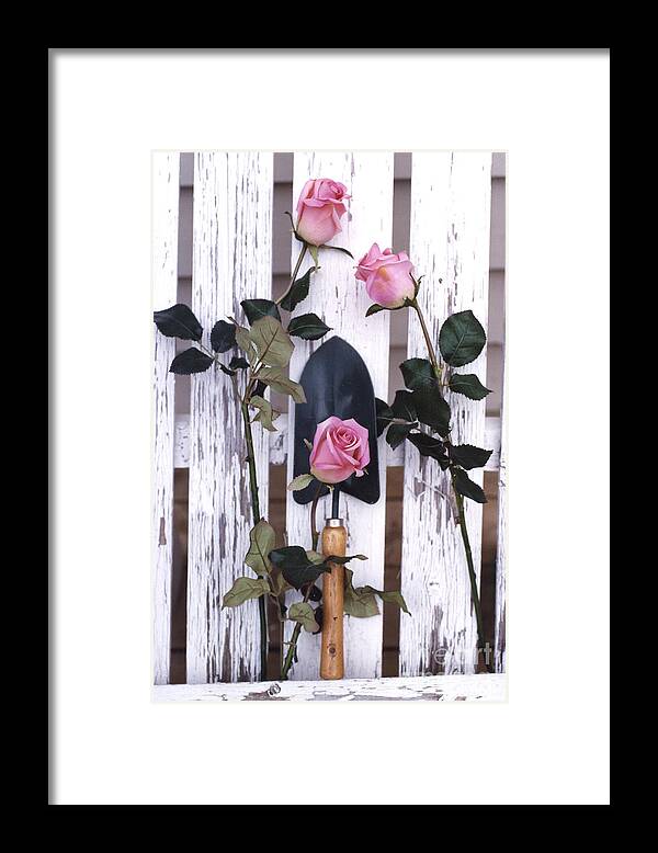 Shabby Chic Romantic Photography Framed Print featuring the photograph Shabby Chic Cottage Romantic Pink Roses Garden Tools by Kathy Fornal