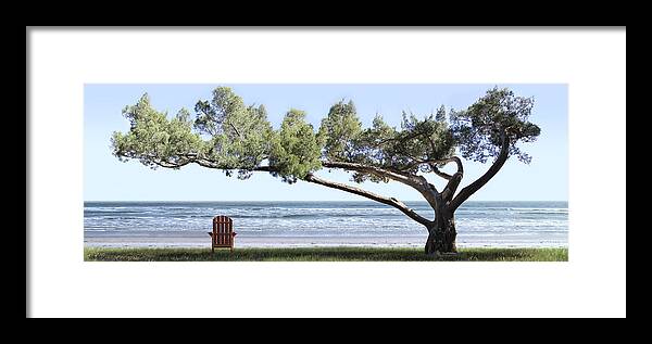 Shade Tree Framed Print featuring the photograph Shade Tree Panoramic by Mike McGlothlen