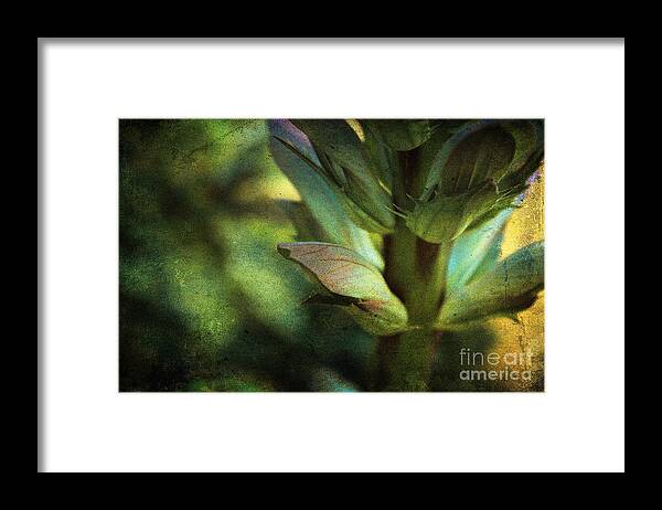 Green Framed Print featuring the photograph Shades of Green by Ellen Cotton
