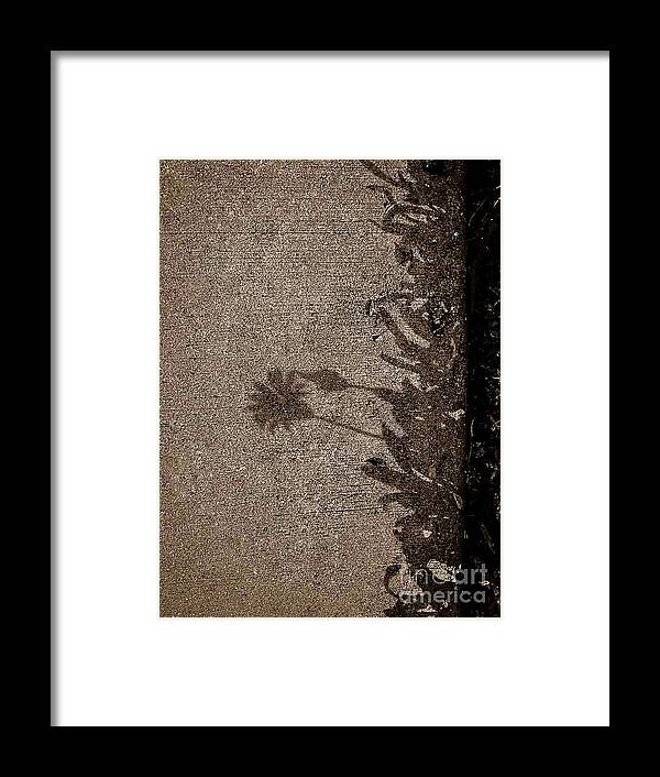 Natural Theme Framed Print featuring the photograph Shadow No.38 by Fei A