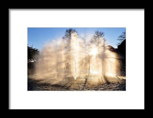 Water Framed Print featuring the photograph Shadow Play by Charlotte Schafer
