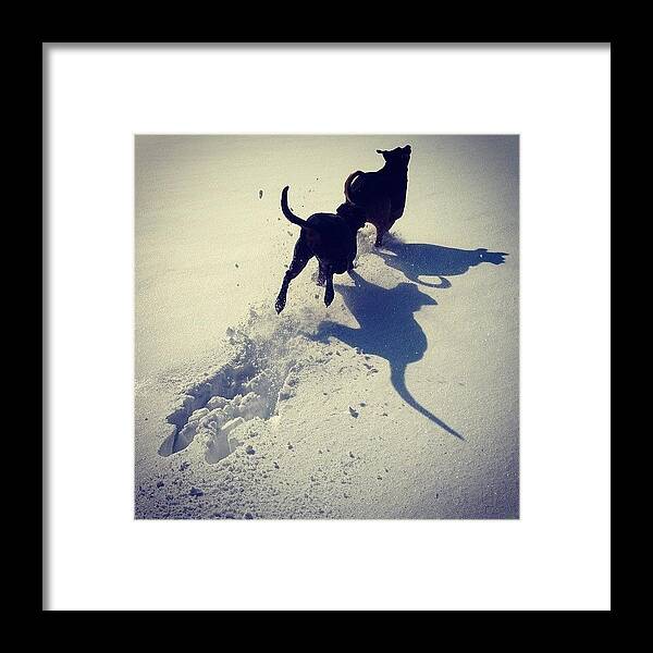  Framed Print featuring the photograph Shadow Play by Sjeannep Peters