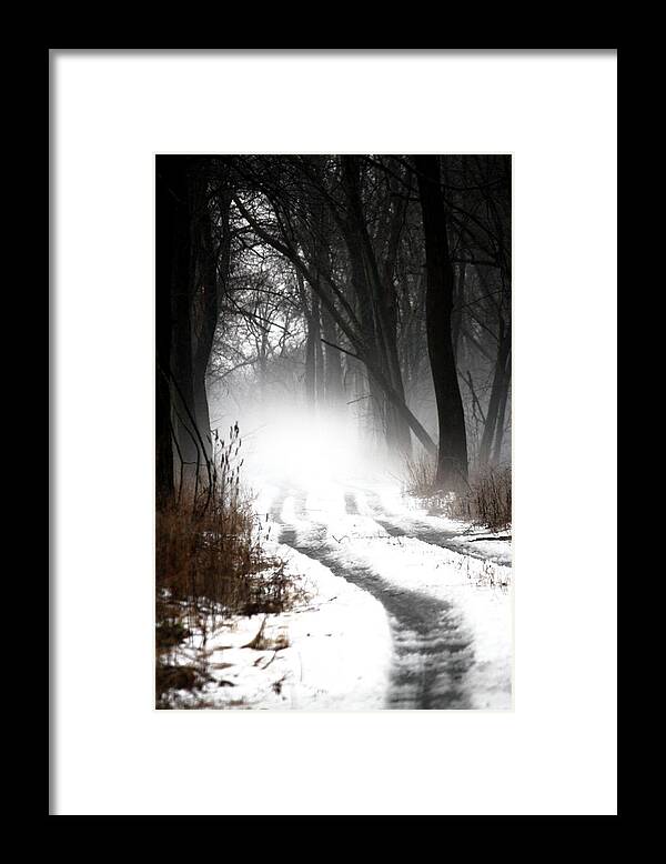 Trees Framed Print featuring the photograph Shadows and Mist at Mentha by Penny Hunt