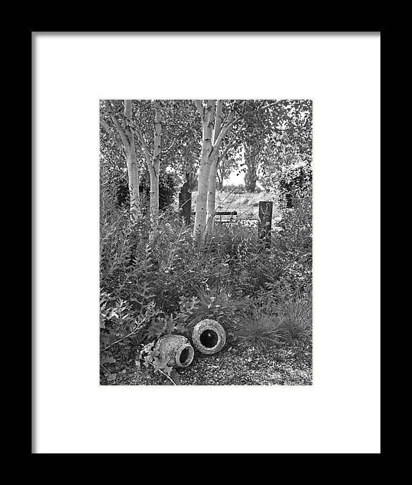 White Birch Framed Print featuring the photograph Shady Corner Under The Birch Trees in Black and White by Gill Billington