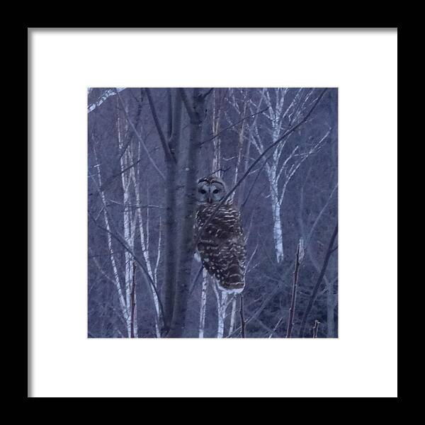 Owl Framed Print featuring the photograph Sharing Solitude by Catherine Arcolio
