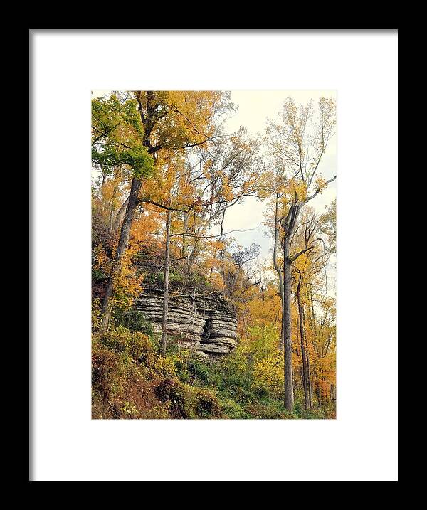 Bluff Framed Print featuring the photograph Shawee Bluff in Fall by Marty Koch