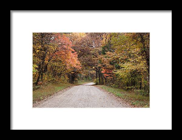 Road Framed Print featuring the photograph Shawnee Forest Road by Sandy Keeton
