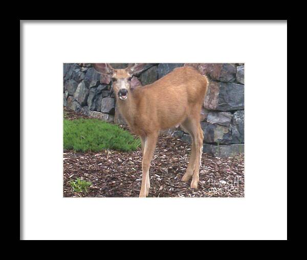  Framed Print featuring the photograph She Stuck her tongue out at me by Kelly Awad