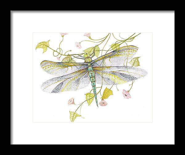 Dragonfly Framed Print featuring the painting Sheer Wings / sold #4 by Barbara Anna Cichocka