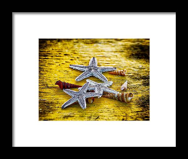 Abstract Framed Print featuring the photograph Shells And Starfish by Stelios Kleanthous