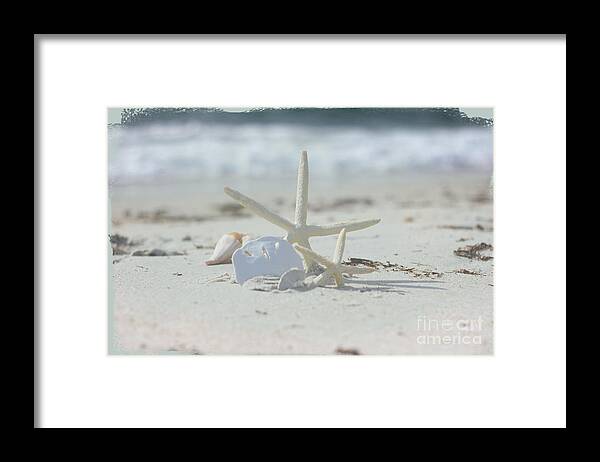 Shells Framed Print featuring the photograph Sand in your Toes by JBK Photo Art
