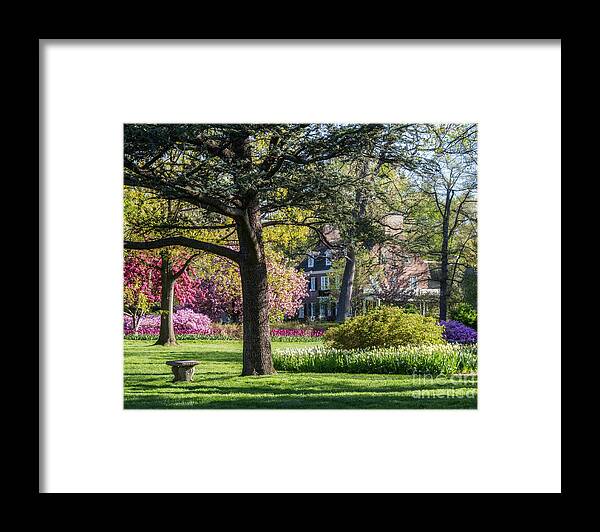Sherwood Gardens Framed Print featuring the photograph Sherwood Gardens 6 by Chris Scroggins