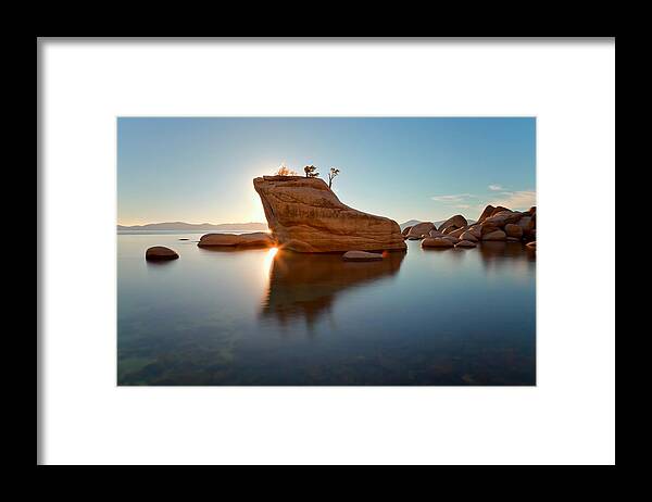 Landscape Framed Print featuring the photograph Shining Bonsai by Jonathan Nguyen