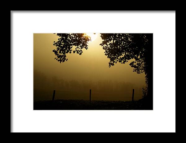 Cades Cove Framed Print featuring the photograph Shining Through The Fog by Michael Eingle