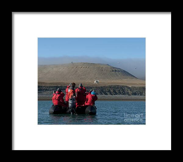 High Arctic Framed Print featuring the photograph Wildlife Explorers.. by Nina Stavlund
