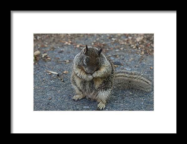 Ground Framed Print featuring the photograph Shy Guy by Christy Pooschke