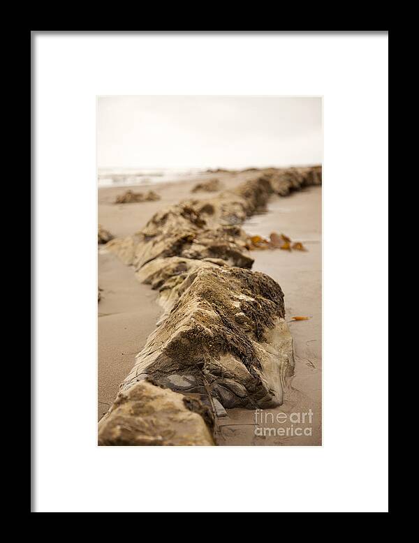 rocky Shore Framed Print featuring the photograph Side Winding by Amanda Barcon