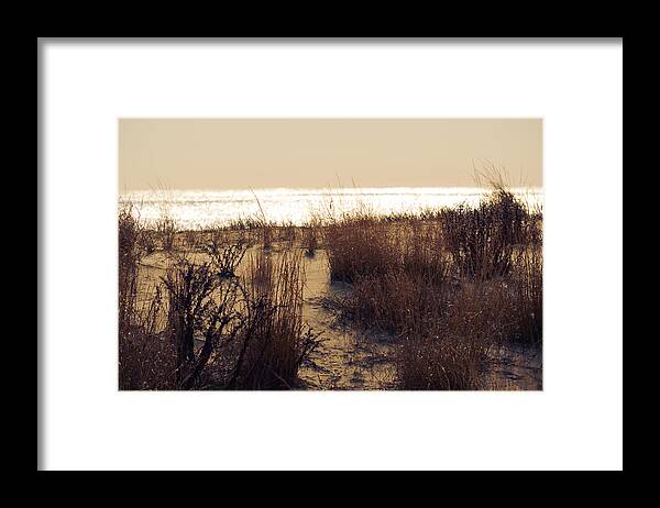 Beach Framed Print featuring the mixed media Sierra Sunrise by Trish Tritz