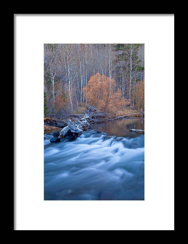 Nature Framed Print featuring the photograph Silence Of The Fall by Jonathan Nguyen
