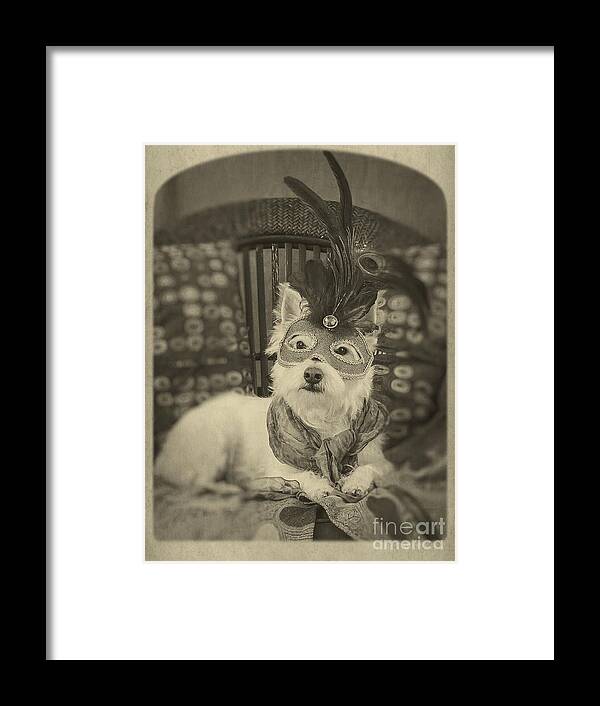 Canine Framed Print featuring the photograph Silent Film Star by Edward Fielding